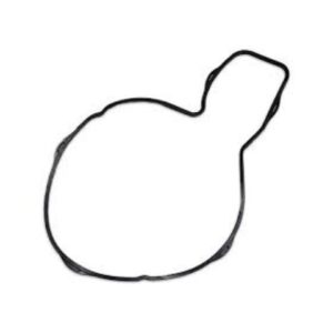 Junta bomba d'água silicone para Volvo - 21415427